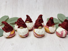Load image into Gallery viewer, Glitter Tropical Berry Swirl Mini Gnomes
